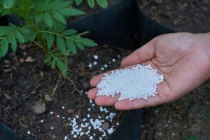 Best urea for agriculture