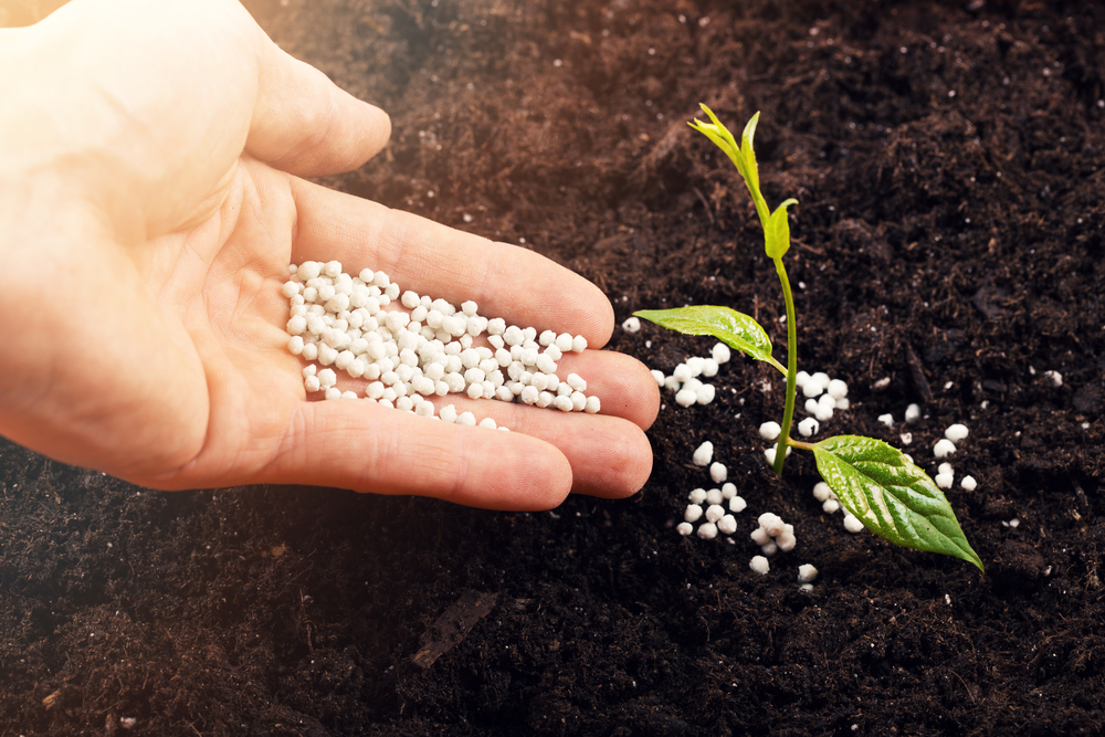 Best urea for agriculture